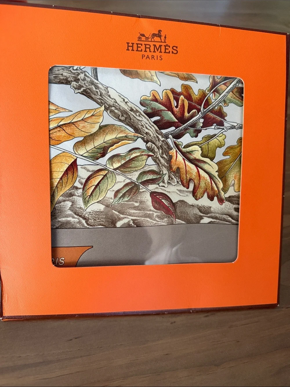 Hermes Autumn Leaves Silk Scarf - Orange, Brown, Green